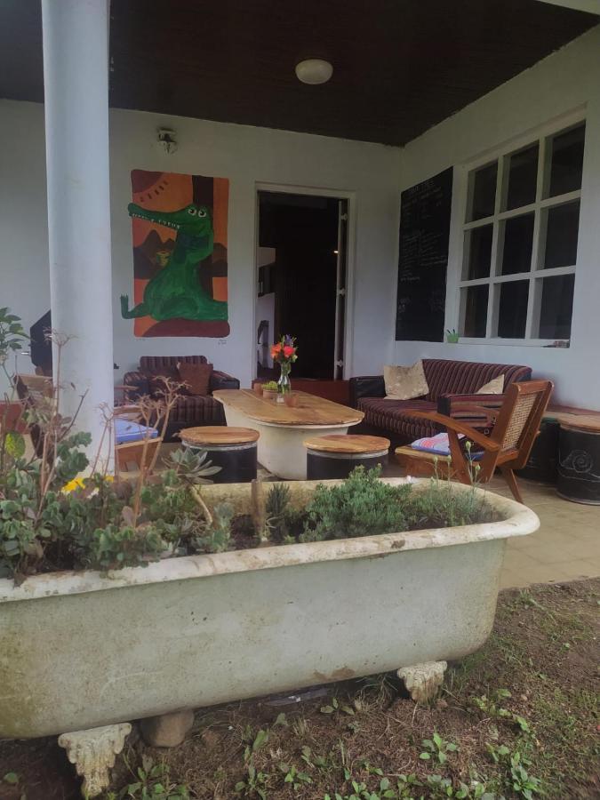 Chilly Croc Hostel Нувара-Элия Экстерьер фото